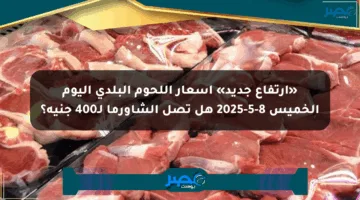 «ارتفاع جديد» أسعار اللحوم البلدي اليوم الخميس 8-5-2025 هل تصل الشاورما لـ400 جنيه؟